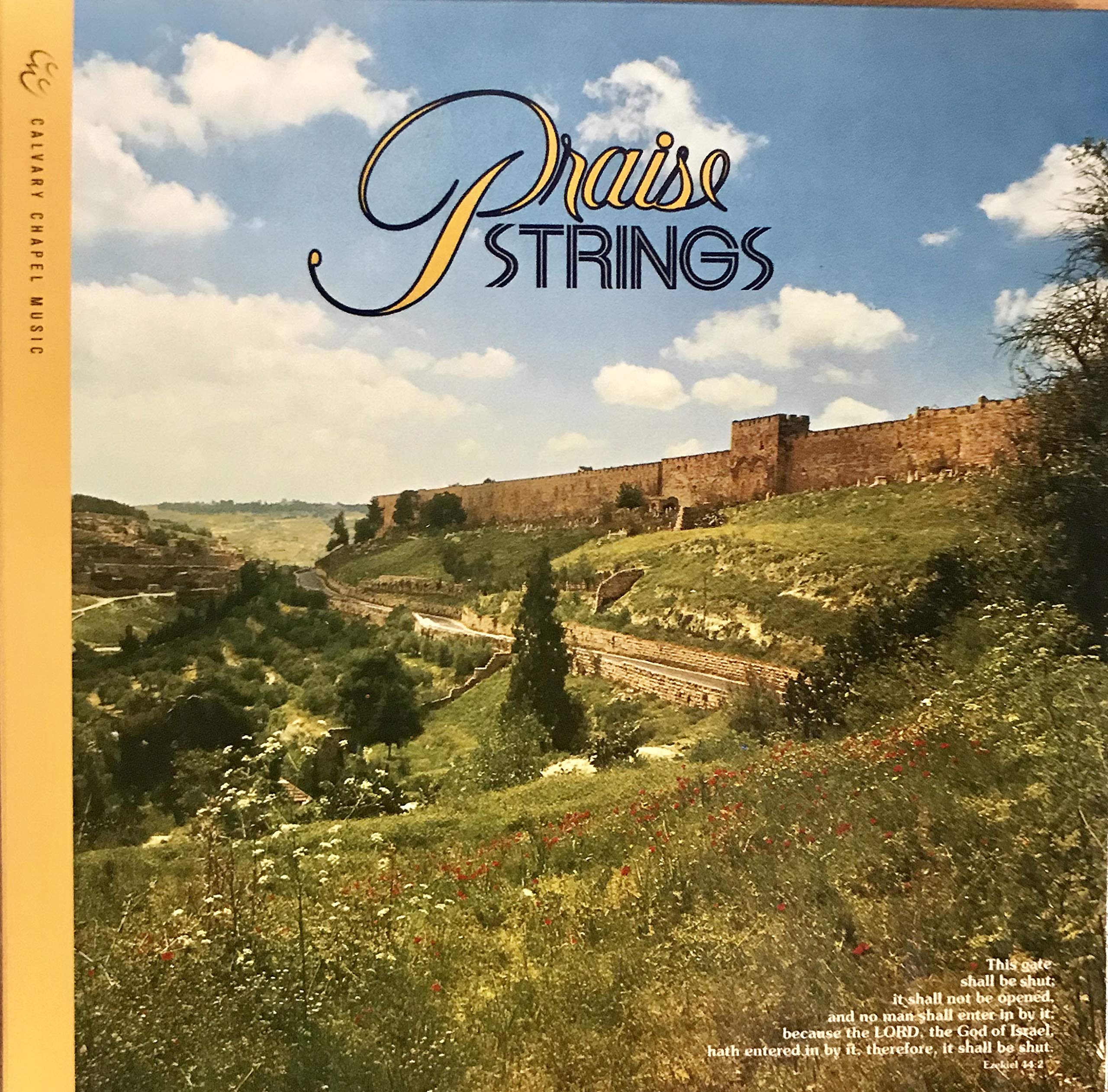 Praise Strings - High-Quality Guitar Strings for Worship & Praise Music | Perfect for Church Bands & Christian Musicians
