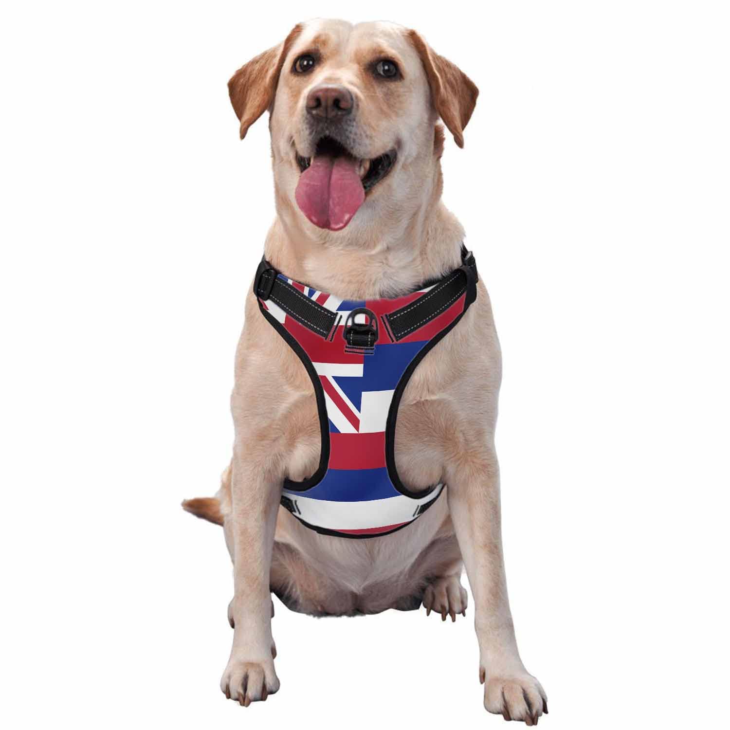 Zaueky Adjustable No-Pull Dog Harness for Medium Dogs - Comfortable Padded Reflective Vest with Leash (Size M) - Perfect for Walks, Hiking & Outdoor Adventures