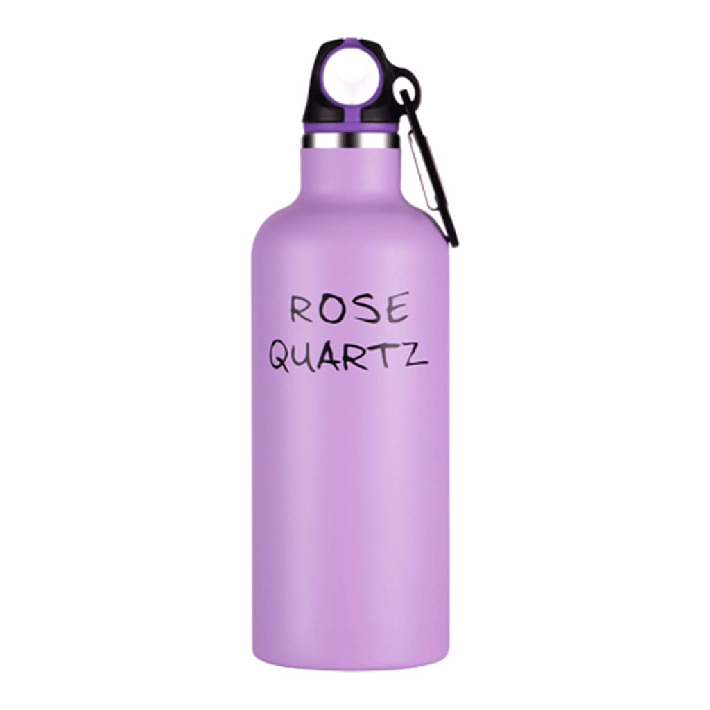**Insulated Stainless Steel Water Bottle - 20oz Vacuum Flask for Outdoor, Hiking & Gym - Leakproof, Portable with Carabiner - Perfect for Sports, Travel & Work**