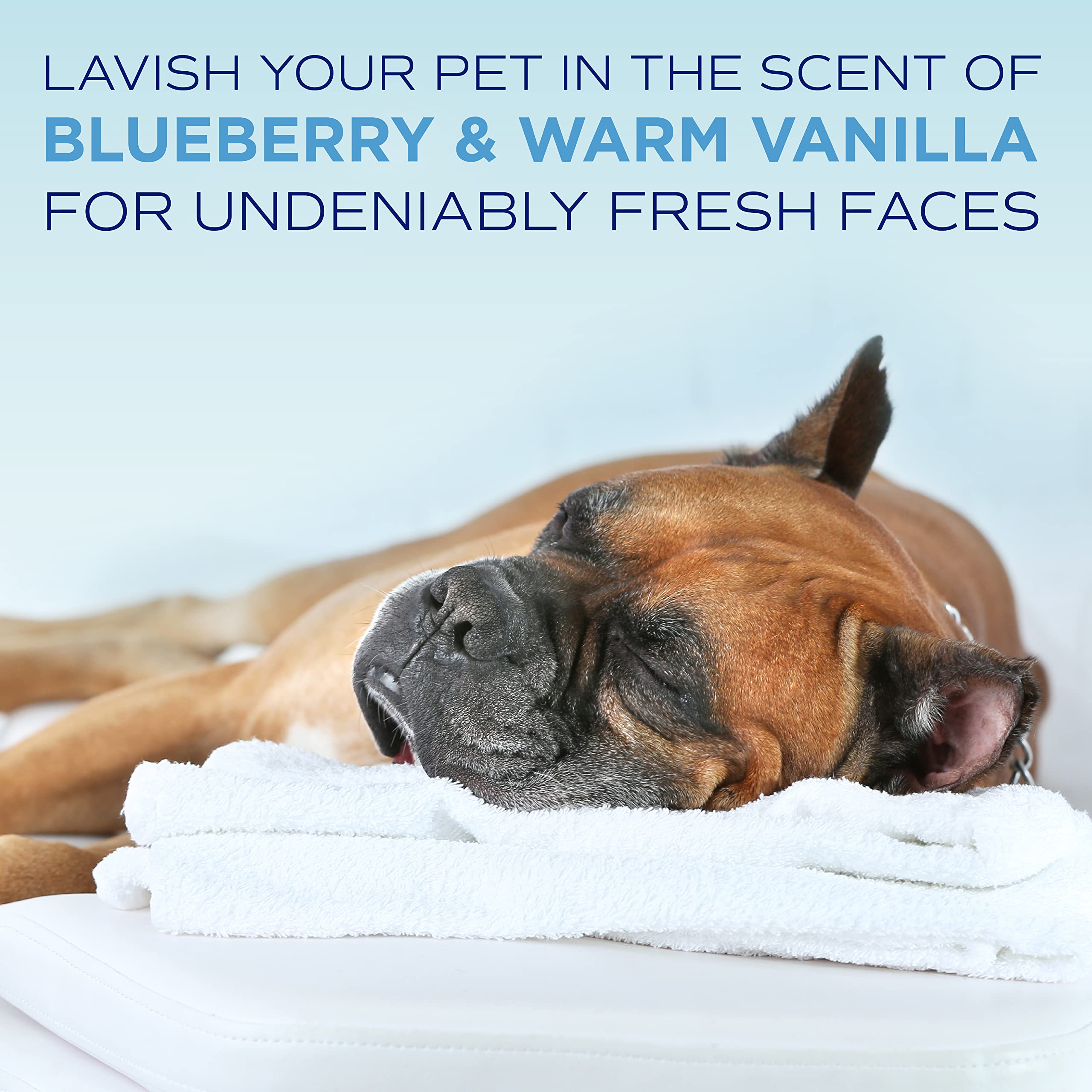 TropiClean SPA Tear Stain Remover for Dogs - Blueberry Facial Shampoo & Odor Eliminator | Gentle Tearless Formula for Whitening & Brightening | Made in USA | 2.5 Gallon | Perfect for Grooming & Daily Dog Care