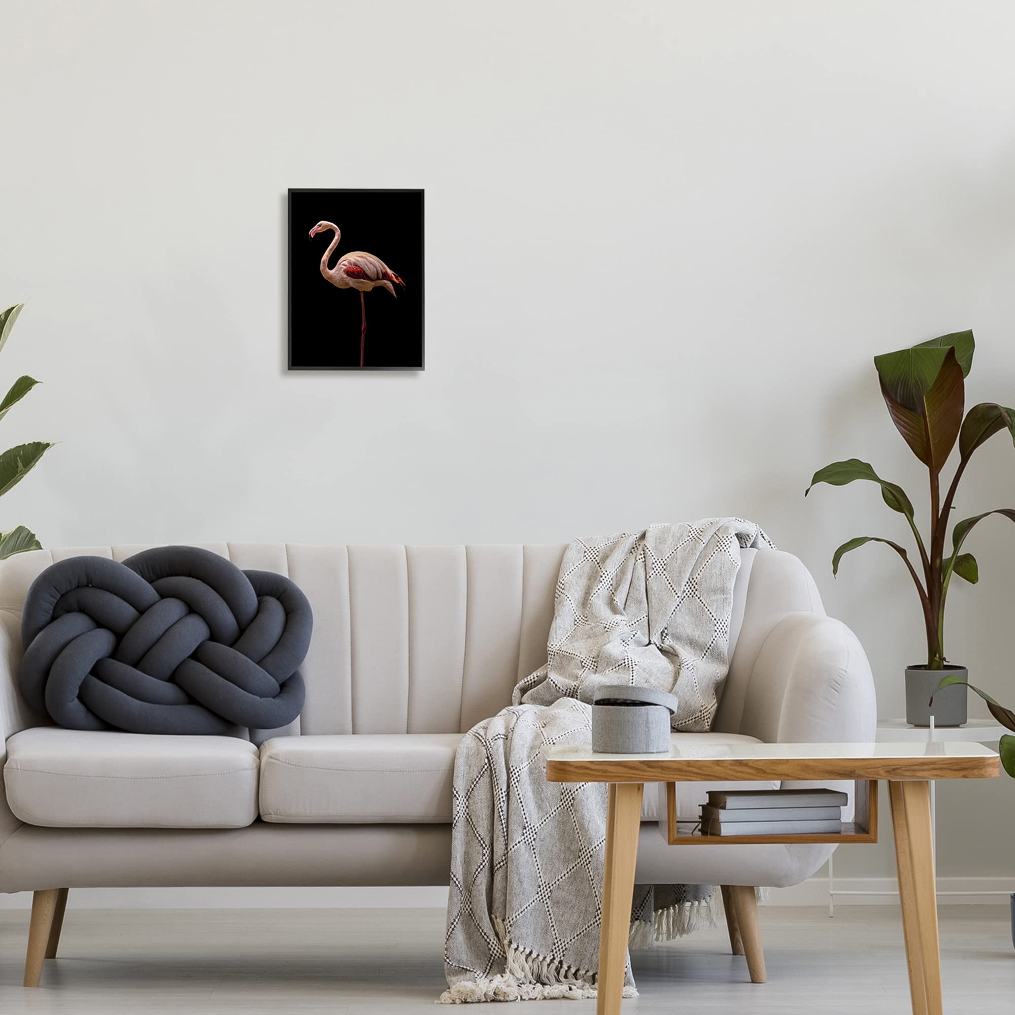 Stupell Industries Pink Flamingo Portrait - Detailed Wildlife Photography Wall Art by Incado | Tropical Home Decor for Living Room, Bedroom & Office