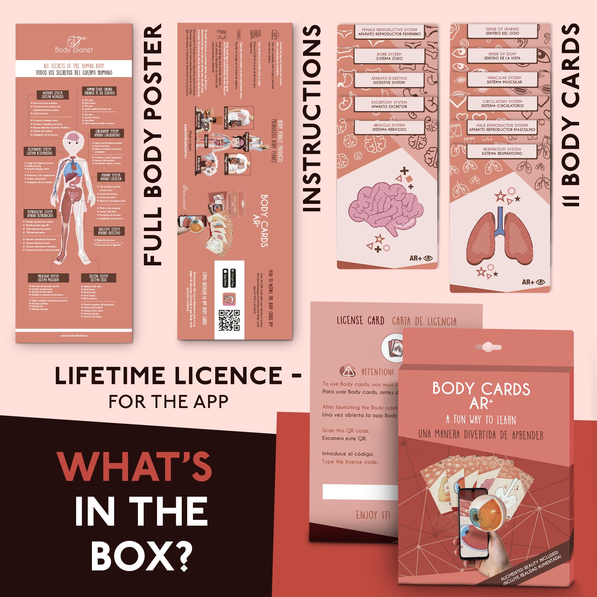 AR+ Body Planet: Human Body Anatomy Cards with Augmented Reality - Interactive Learning Tool for Kids, Students & Medical Education