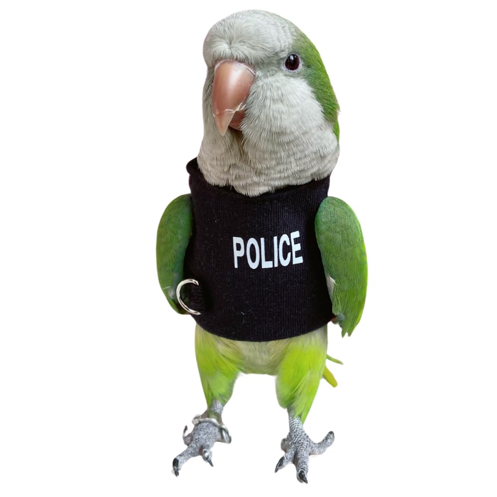 Bird Costume Diaper Flight Suit - Blue Quaker Parrot Cosplay Hoodie for Parakeets, Cockatiels & Sun Conures | Small Pet Apparel Without Diaper | Perfect for Photo Shoots, Bird Shows & Halloween Costumes