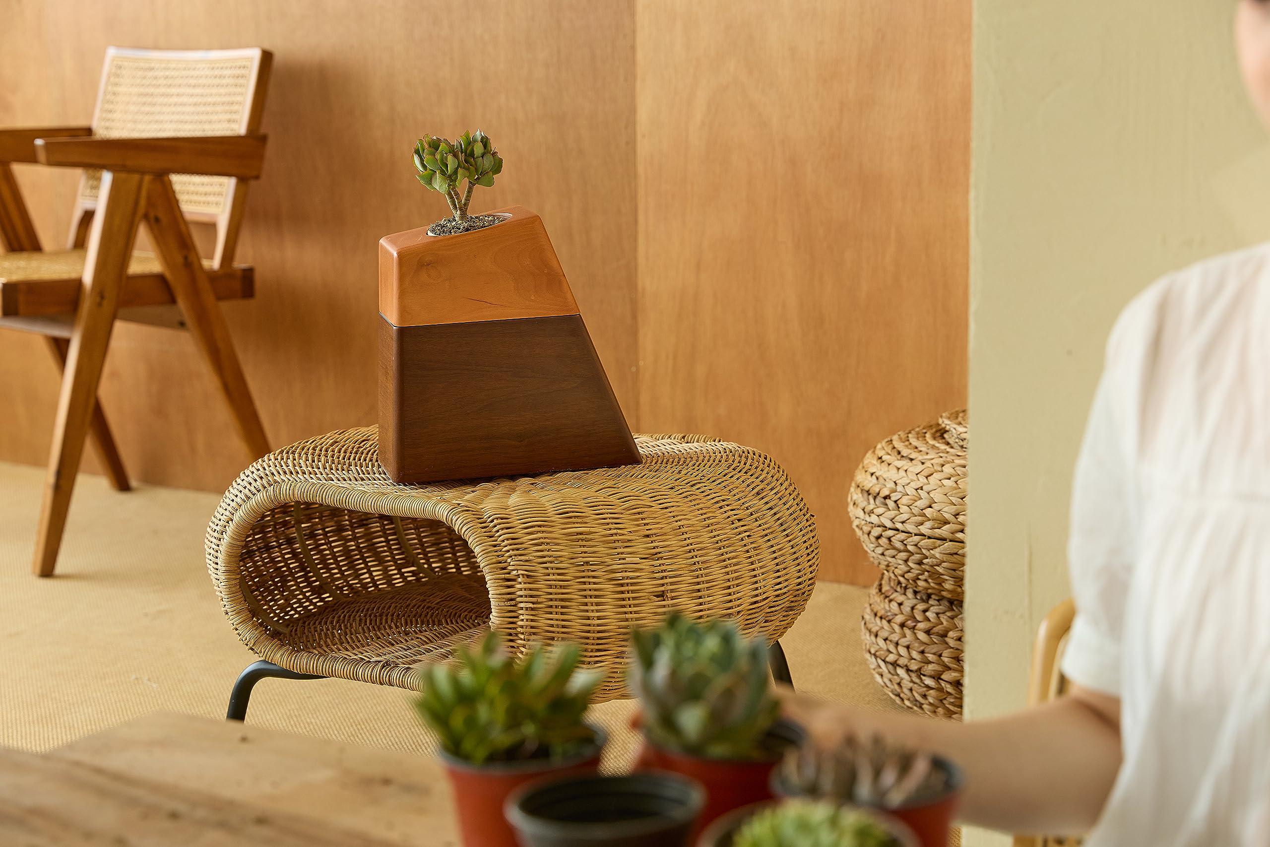 Handcrafted Wooden Cremation Urn for Adult Ashes - Elegant Plant Urn by Aspen Studio | Perfect for Memorial Services, Home Display & Scattering Ceremonies