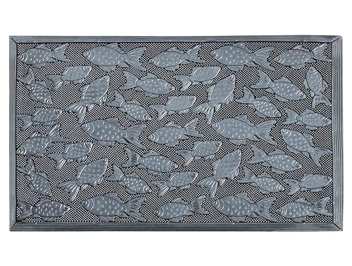 Silver Fish
