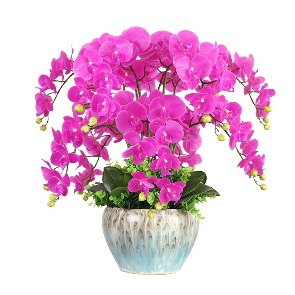 Real Touch Artificial Orchid Flowers - Latex Phalaenopsis Bonsai Arrangement for Home & Living Room Decor | Lifelike Indoor Fake Plants for Wedding Centerpieces, Office Desk Decor, and Housewarming Gifts
