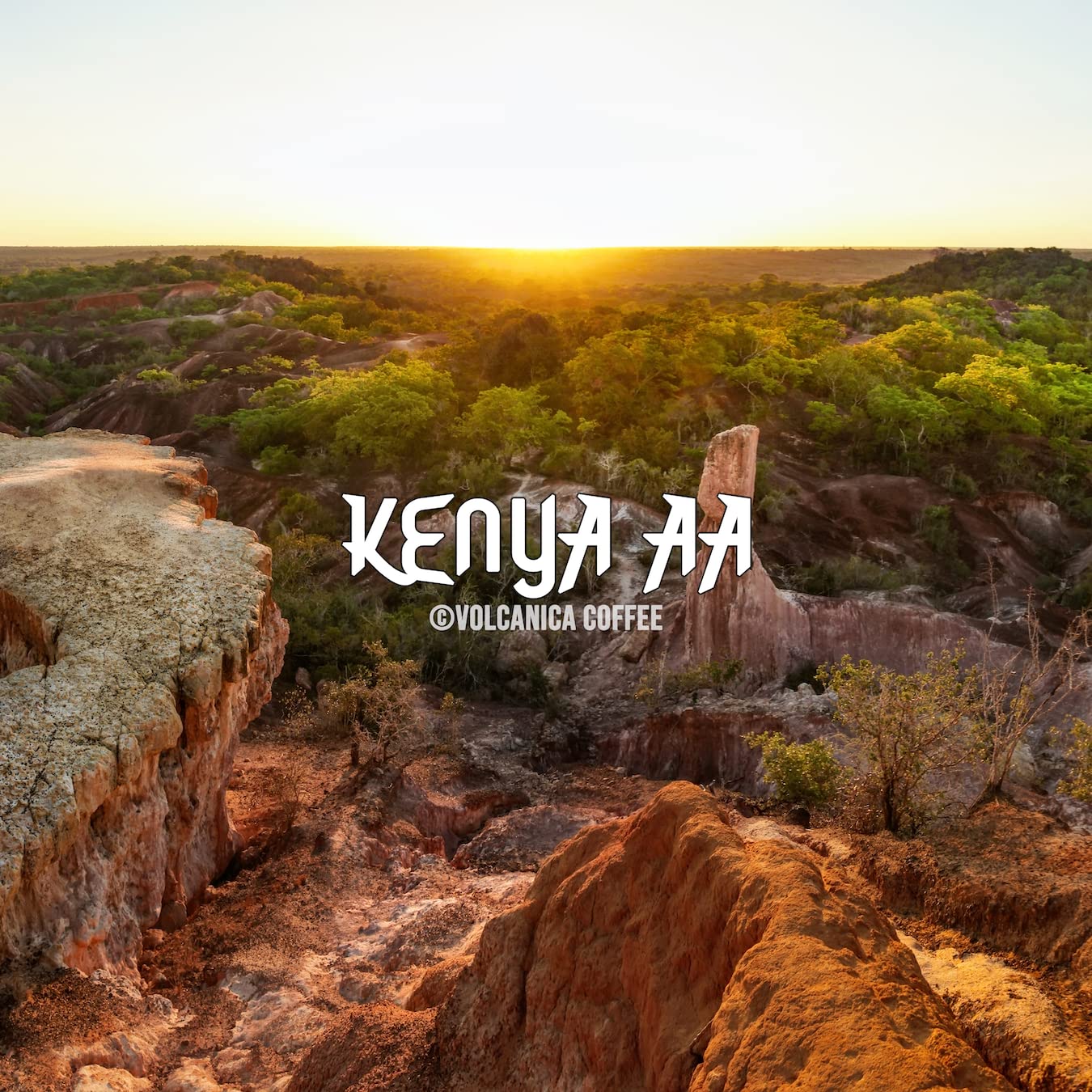 Kenya AA Coffee Beans - 100% Pure, Freshly Roasted & Ground, 5 lb Bag | Premium Arabica for Espresso, French Press & Drip Coffee Makers