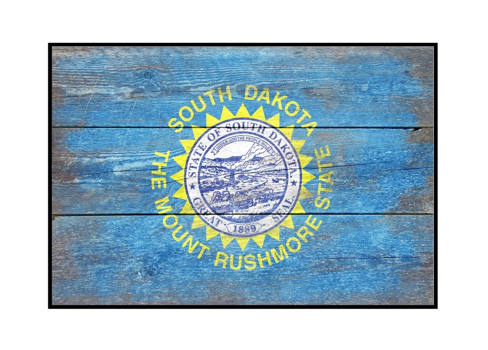 South Dakota State Flag - 36x24 Inch Framed Gallery Wrapped Canvas Wall Art - Perfect for Home Decor, Office Display & Patriotic Gift Giving