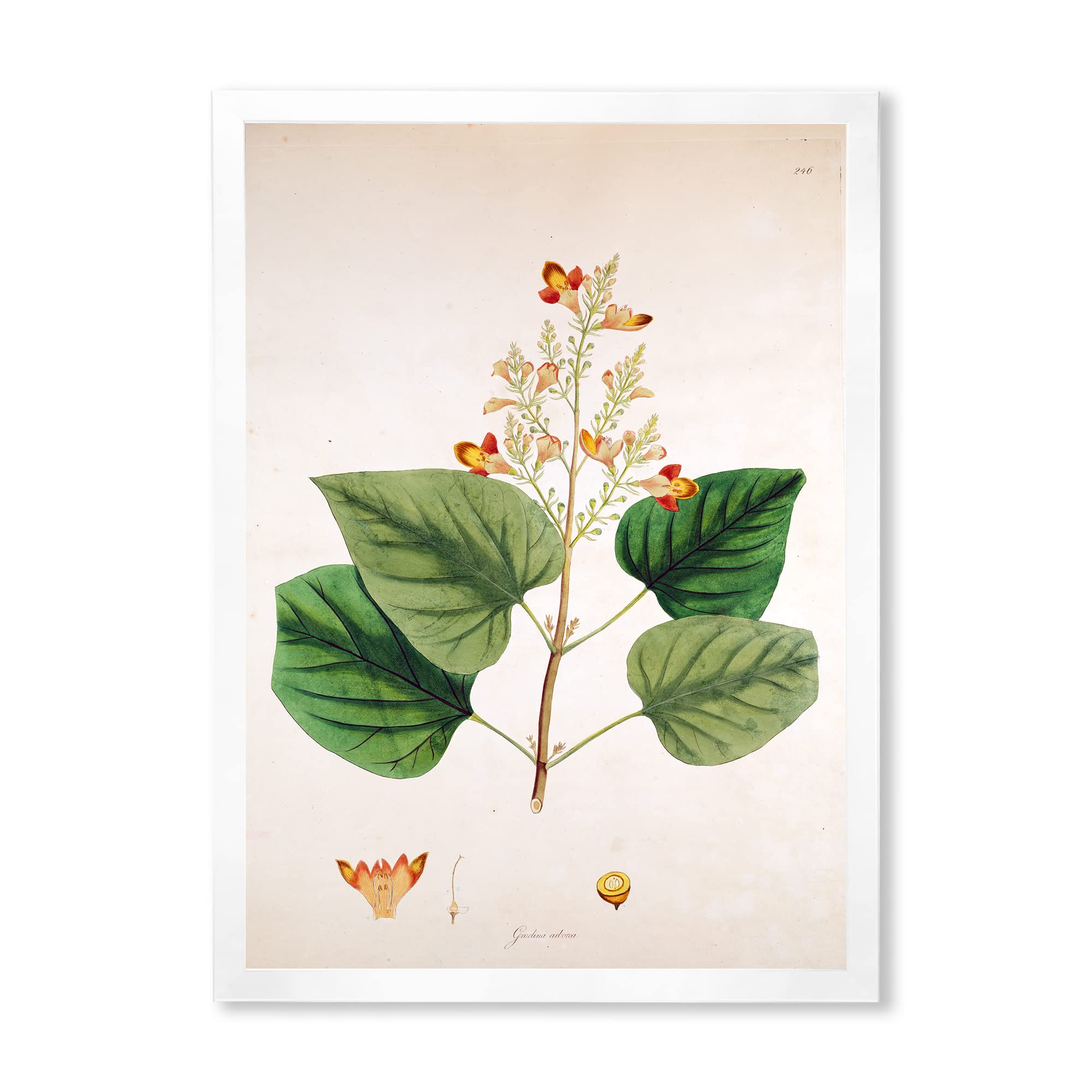 Vintage London Plants XII Farmhouse Framed Wall Art - Botanical Home Decor for Living Room, Bedroom & Office - Perfect Gift for Housewarming & Interior Design