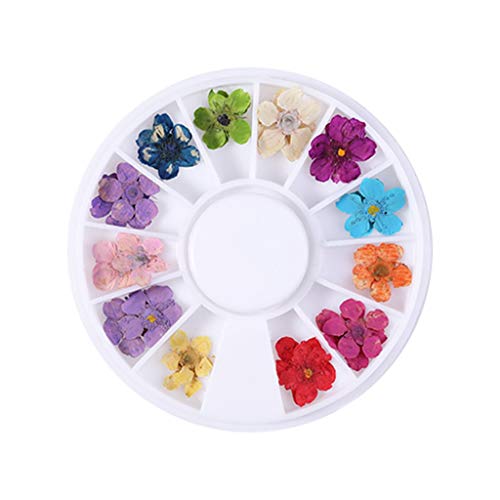 Small Petals Dry Star Nail Flowers - Sunflower & Daffodil Nail Art Supplies for DIY Manicure