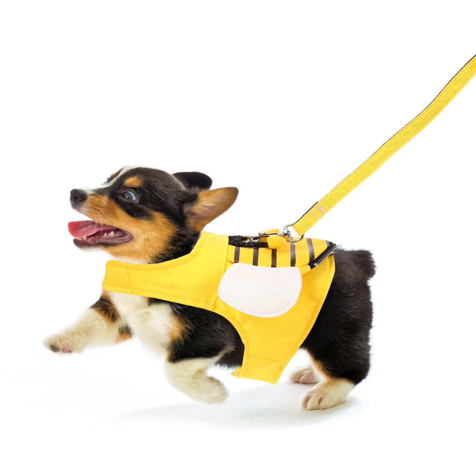 POPETPOP Cat Harness and Leash Set - Adjustable Soft Vest Harness with Durable Leash for Small Cats & Dogs | Perfect for Walking, Training, and Outdoor Adventures