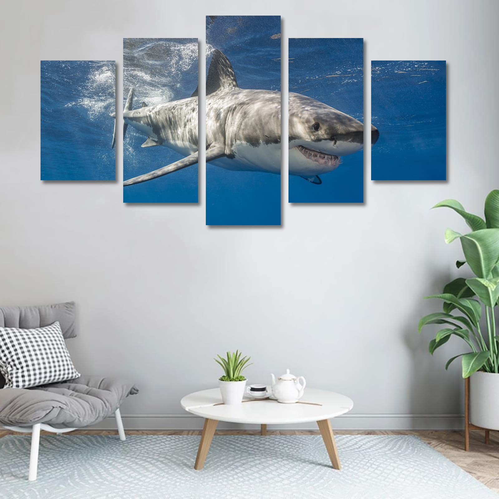 5-Piece Framed Shark Canvas Wall Art Set - 60