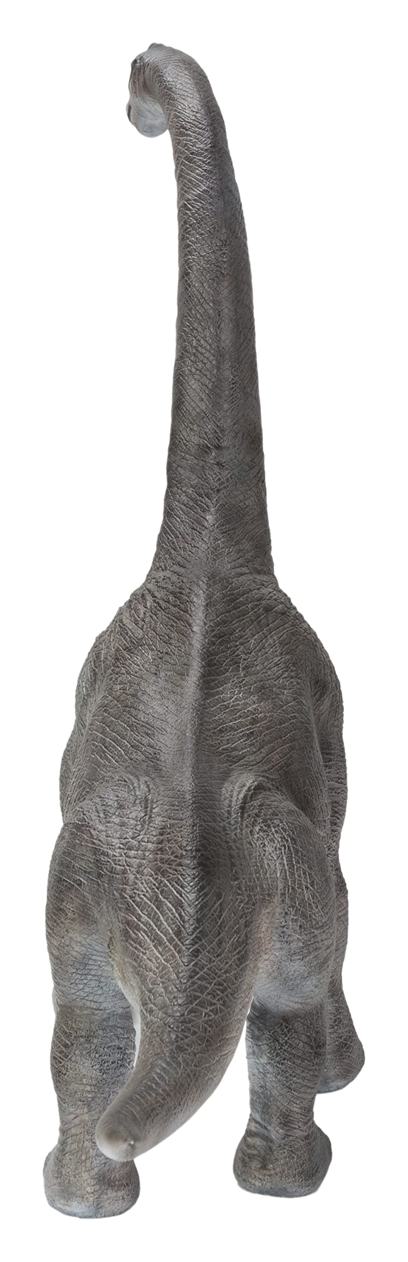 Hi-Line Gift Dinosaur Brachiosaurus Toy - Realistic Dinosaur Figure for Kids, Collectors & Educational Play | Perfect for Birthday Gifts, Classroom Learning & Jurassic-Themed Decor