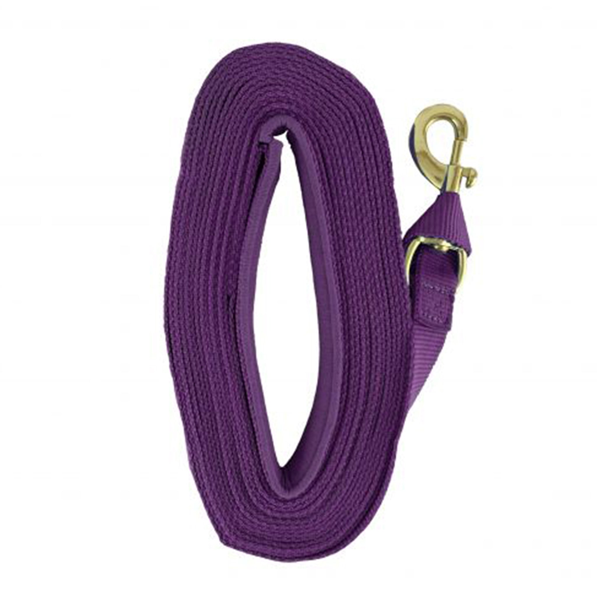 25' Web Lunge Line for Dog Training - Durable Agility Equipment with Adjustable Length - Perfect for Obedience Practice, Backyard Exercises & Canine Sports