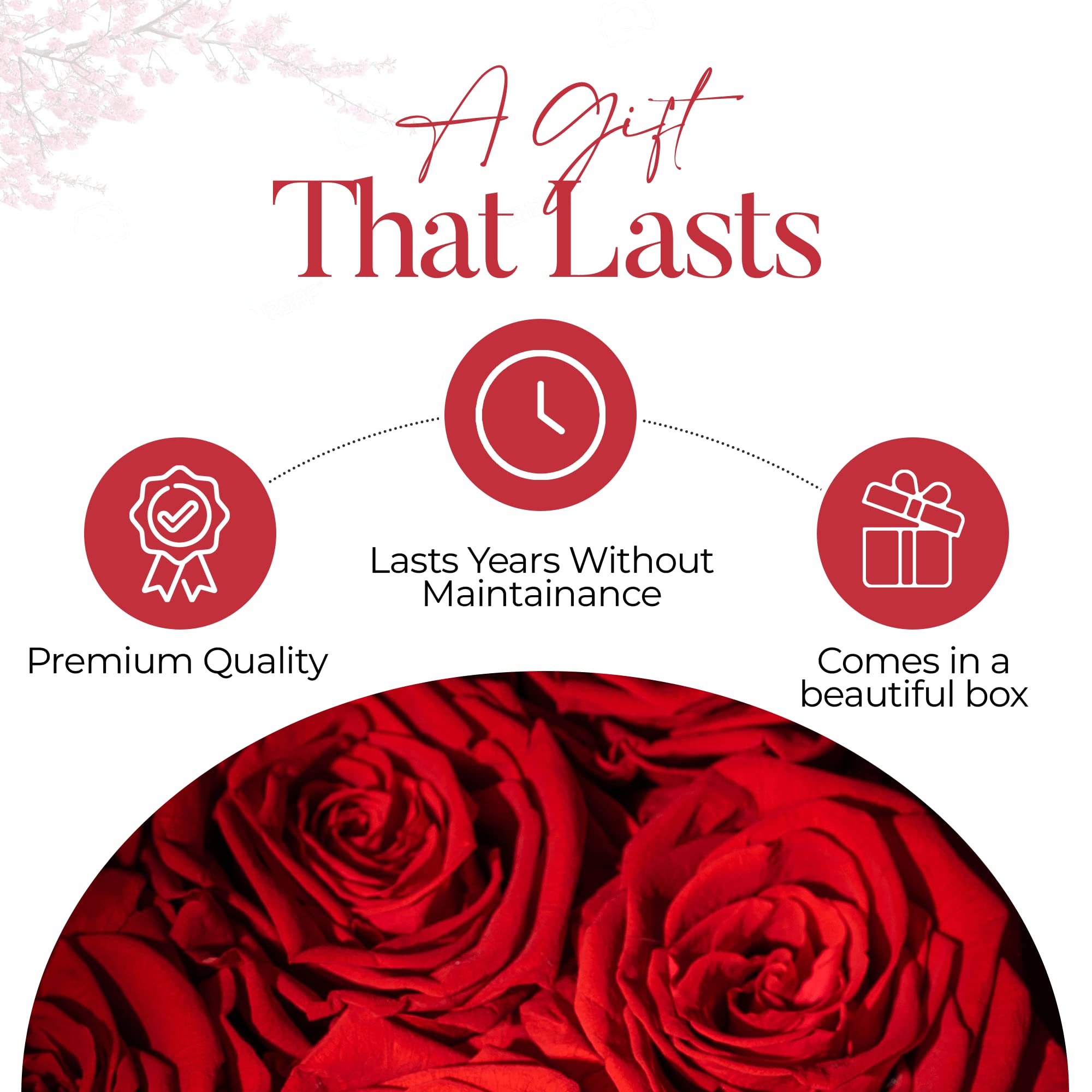 Premium AROMEO 7 Red Roses Bouquet - Fresh Cut Flowers for Valentine's Day, Anniversary, Birthday & Christmas Gifts | Same Day or Next Day Delivery | Perfect for Her, Wife, Girlfriend, Mom & Special Occasions | Elegant Home Decor & Romantic Gift Idea