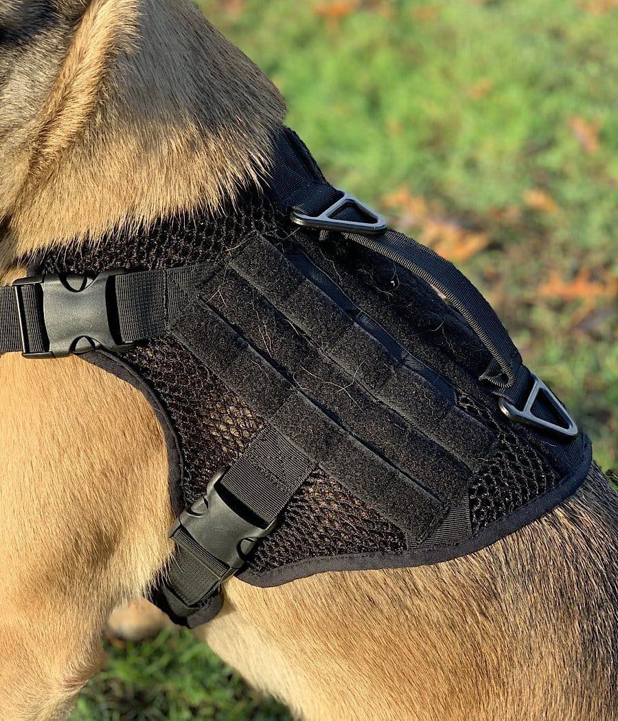 Artemis No Pull Dog Harness - Adjustable, Breathable, No Tug No Choke Pet Vest for Small Medium Large Dogs - Perfect for Walking, Running, Hiking & Outdoor Adventures