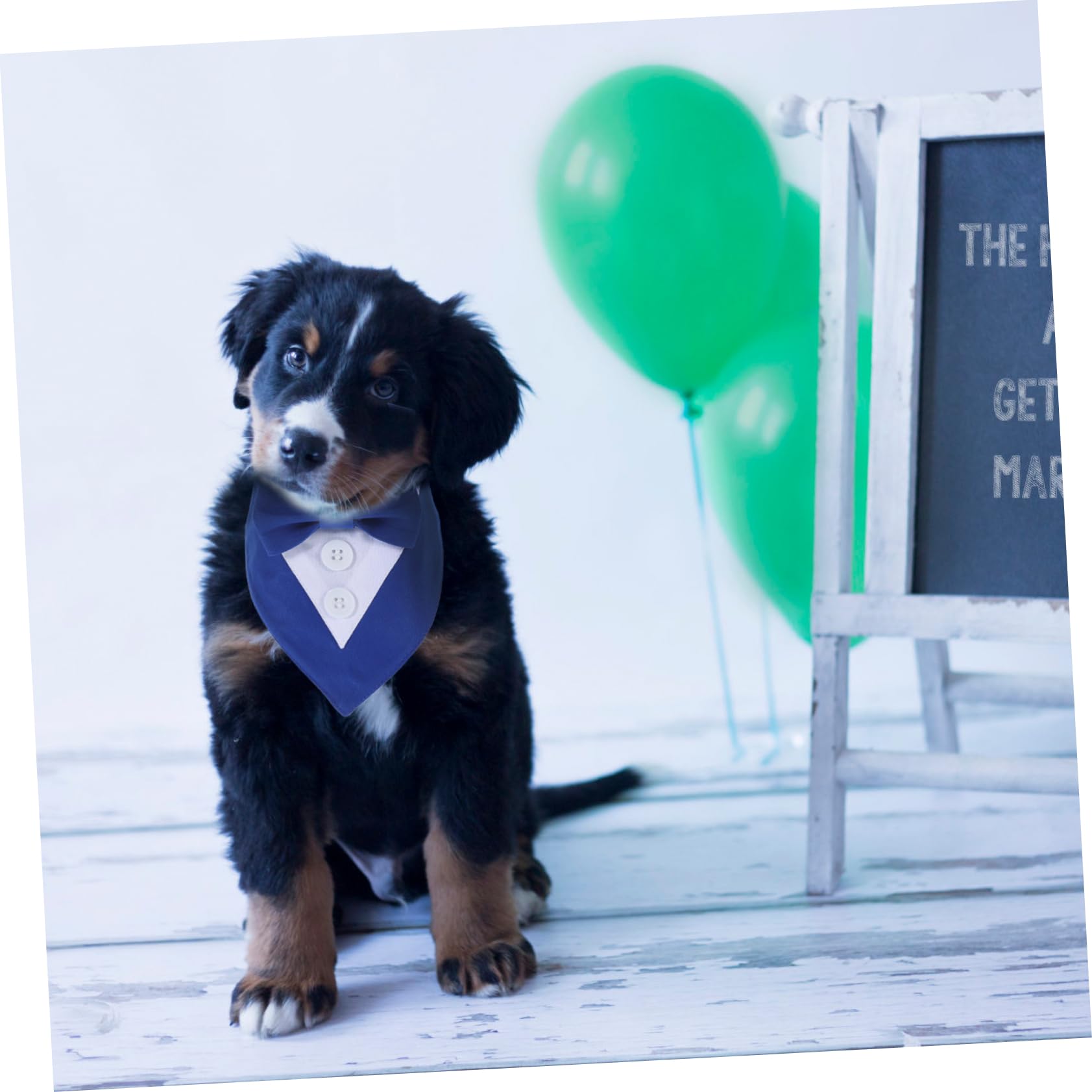 Premium Mipcase Dog Scarf - Adjustable Pet Bandana for Weddings, Parties & Special Occasions - Easy-Tie Blue XS Collar Accessory - Perfect for Pet Photo Shoots & Holiday Celebrations
