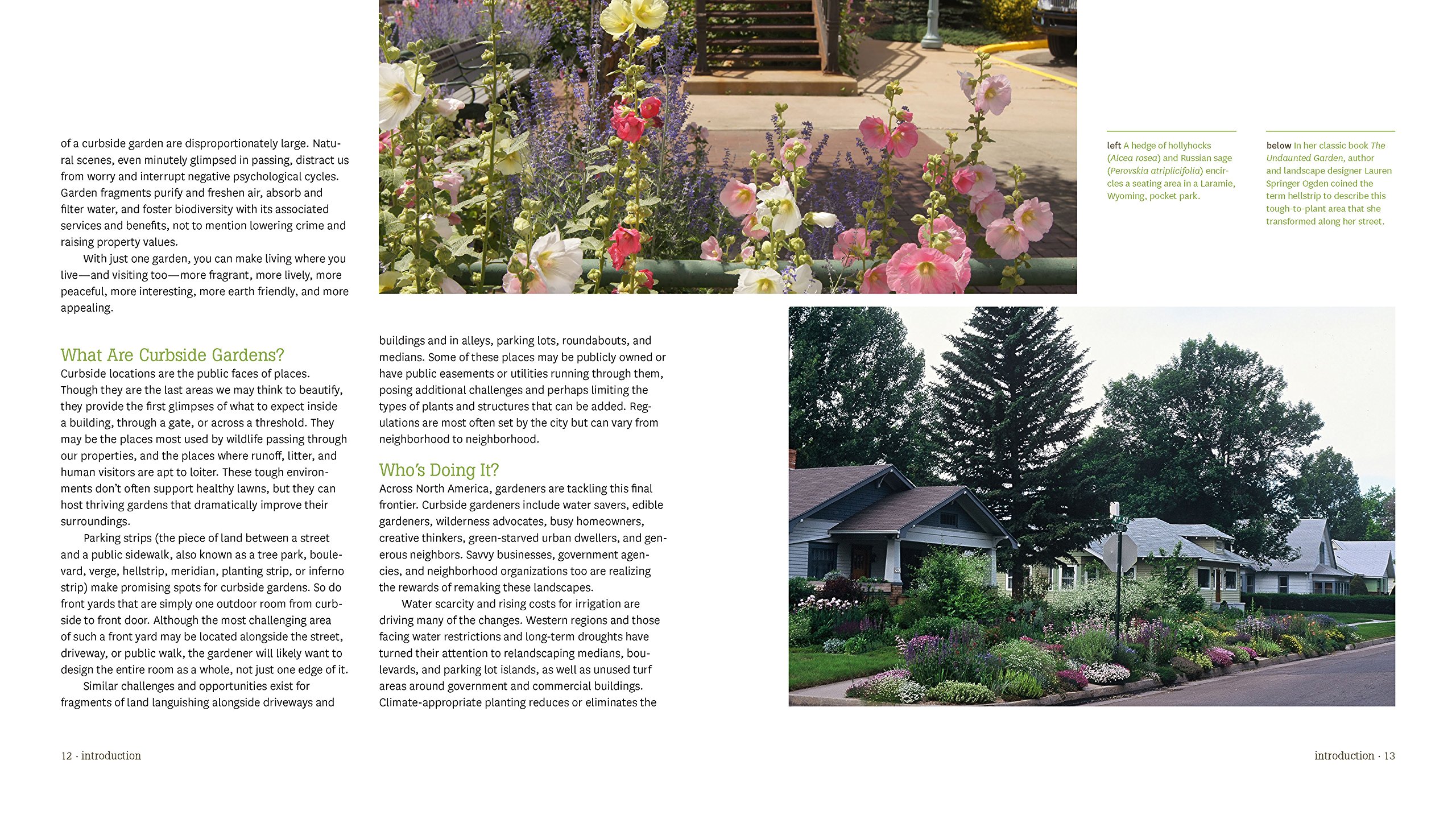 Hellstrip Gardening Guide: Create a Beautiful Paradise Between Sidewalk and Curb | Drought-Tolerant Landscaping Ideas for Urban Spaces