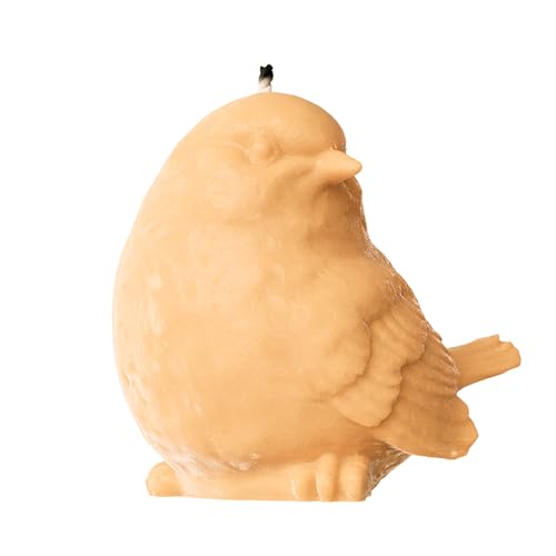 bird-4057