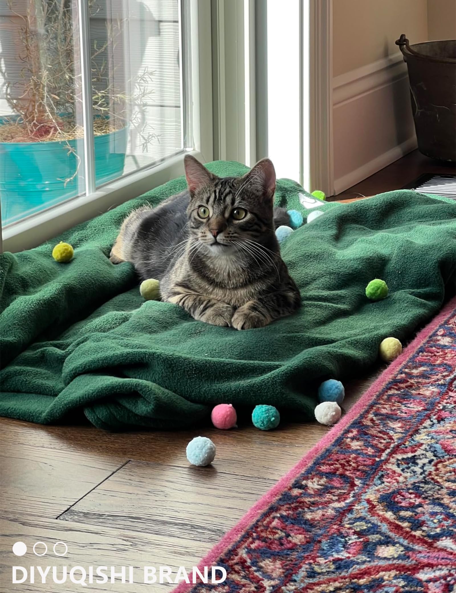 19 Piece Cat Toys Pack - 5 Bell Balls, 10 Plush Balls, 4 Spring Toys - Interactive Kitten Toys for Indoor Cats - Perfect for Playtime, Exercise & Bonding with Your Feline Friend