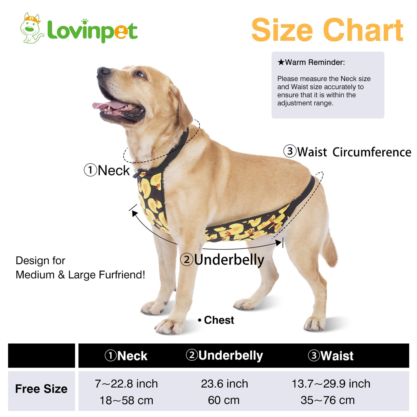 LovinPet Large Dog Belly Cover - Washable Dog Belly Wrap & Recovery Suit for Post-Surgery Protection | Abdominal Protective Clothing for Dogs | Ideal for Spay/Neuter Recovery, Wound Care, and Post-Operative Comfort