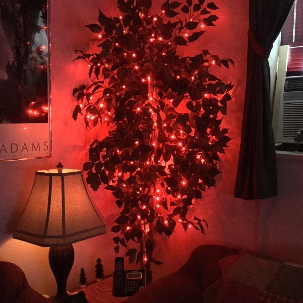 Fairy Lights Plug in - 33ft/10m Silver Coated Copper Wire with 100 LEDs, Starry String Lights for Indoor Outdoor Decoration - Perfect for Bedroom, Patio, Garden, Party, Christmas Tree (Red) - Create Magical Ambiance for Weddings, Holidays and Special Events