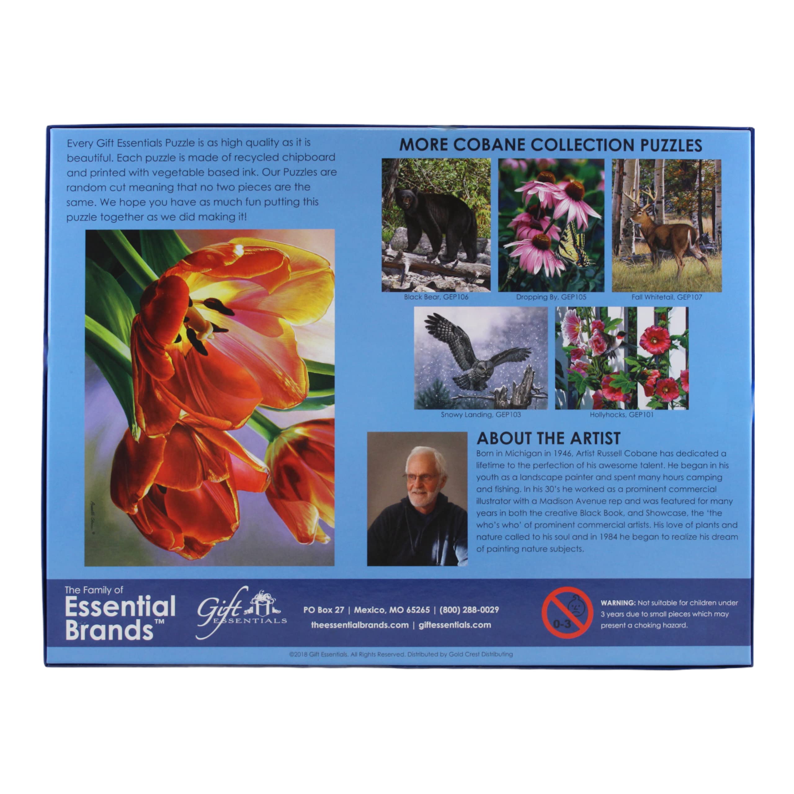 1000 Piece Tulips in Spring Jigsaw Puzzle for Adults & Kids - Challenging Family Game Night Activity, Home Decor & Relaxation Gift Idea