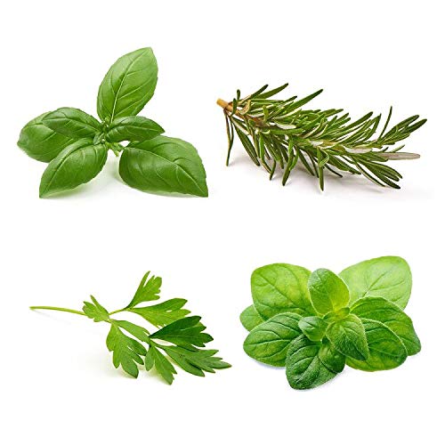 Basil, Rosemary, Parsley & Oregano
