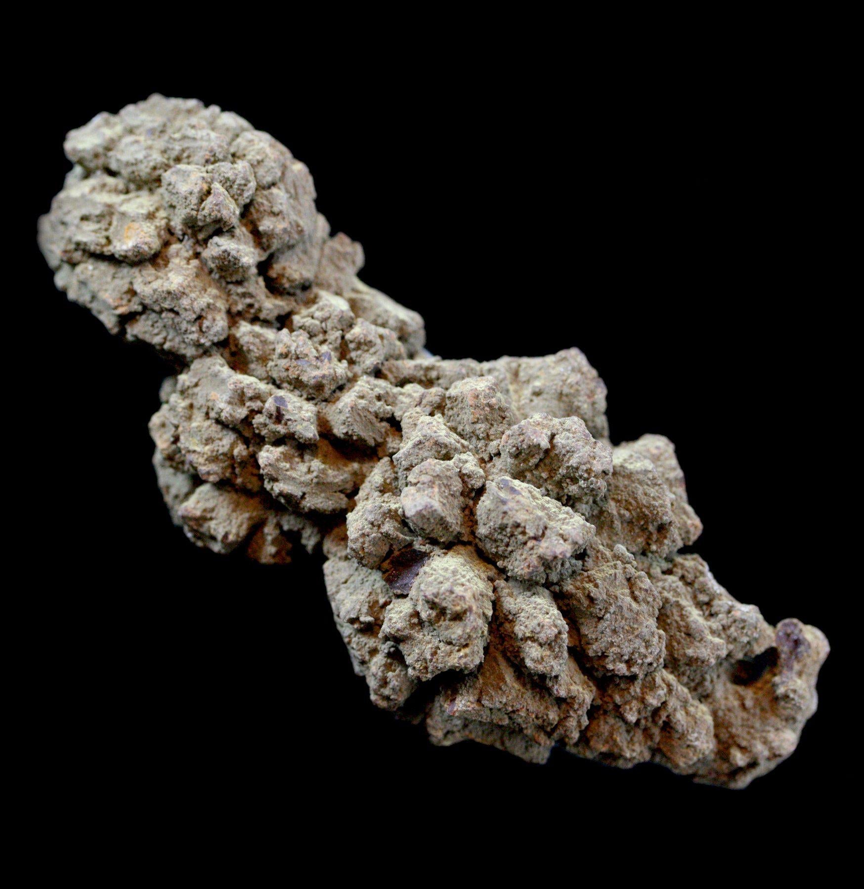 Authentic Coprolite Fossil Specimen - Rare Dinosaur Dung Stone for Collectors & Paleontology Enthusiasts | Perfect for Home Decor, Science Education & Unique Gift Ideas