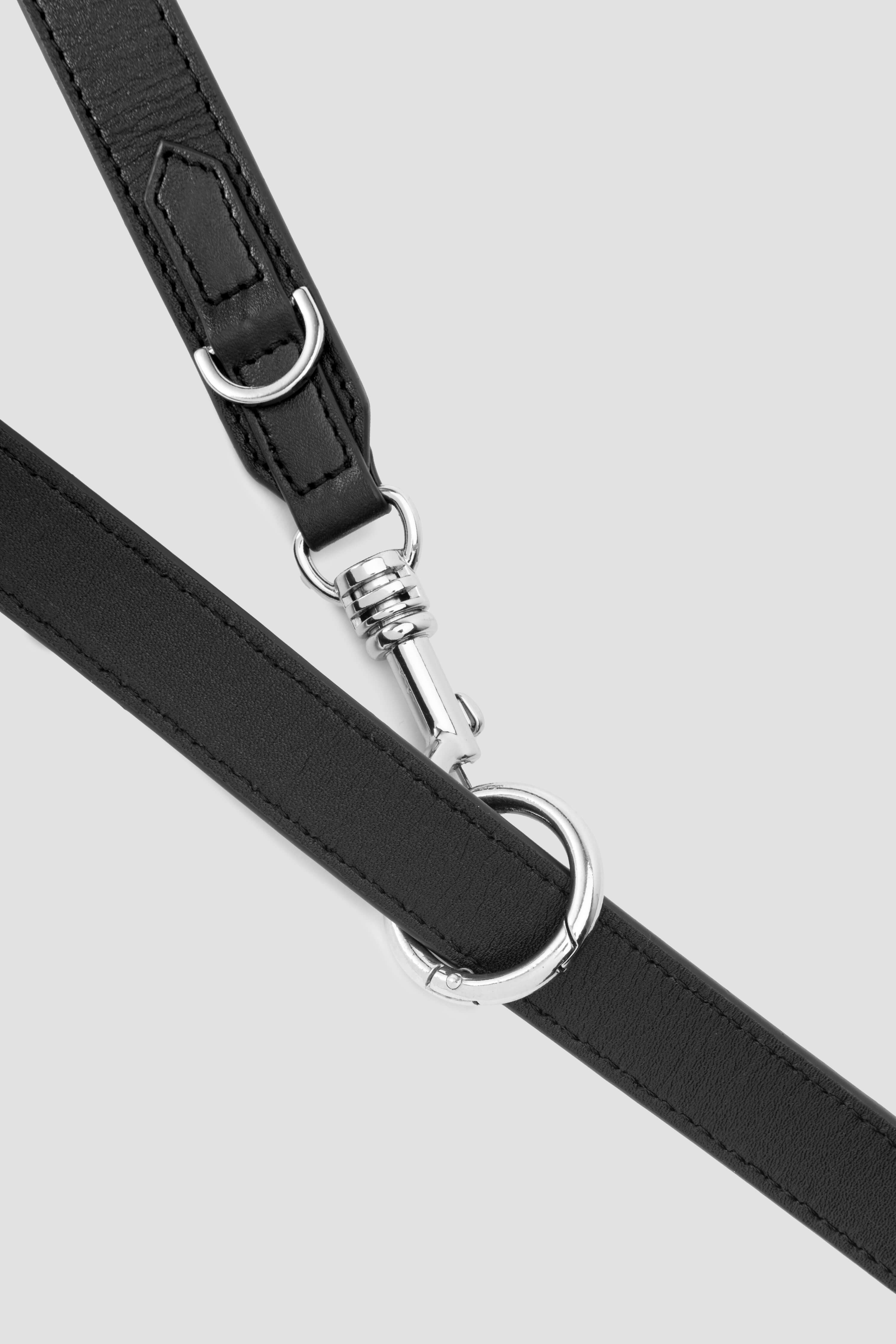 3 in 1 Dog Lead and Collar - Adjustable Nylon Leash with Comfortable Padded Handle for Small Medium Large Dogs - Perfect for Walking, Training, and Outdoor Adventures