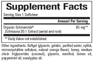 Echinamide® Quick Blast Honey Lemon Flavor Immune Support Supplement - Boost Energy & Wellness for Busy Professionals & Students