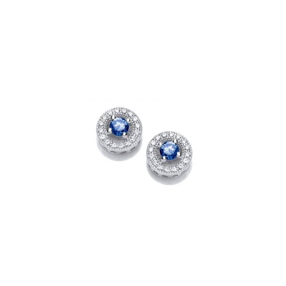 Silver & Tanzanite Cubic Zirconia Round Cluster Stud Earrings for Women - Elegant Jewelry Gift for Birthday, Anniversary & Special Occasions