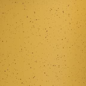 Butterscotch Yellow