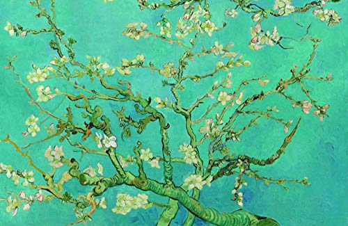 Almond Blossom