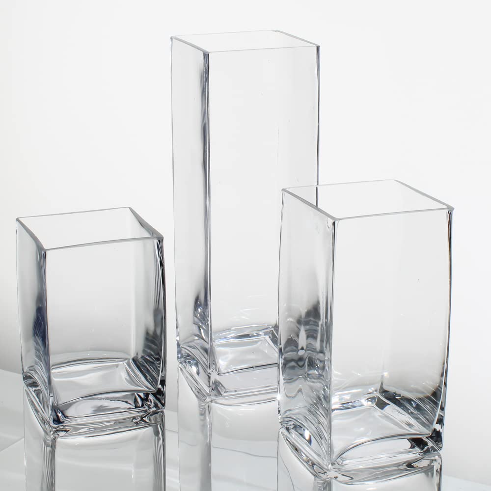 18-Piece Glass Eastland Square Vase Set with 18 Black Richland 3