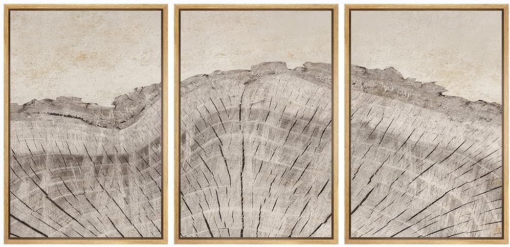 Wood Tree Rings