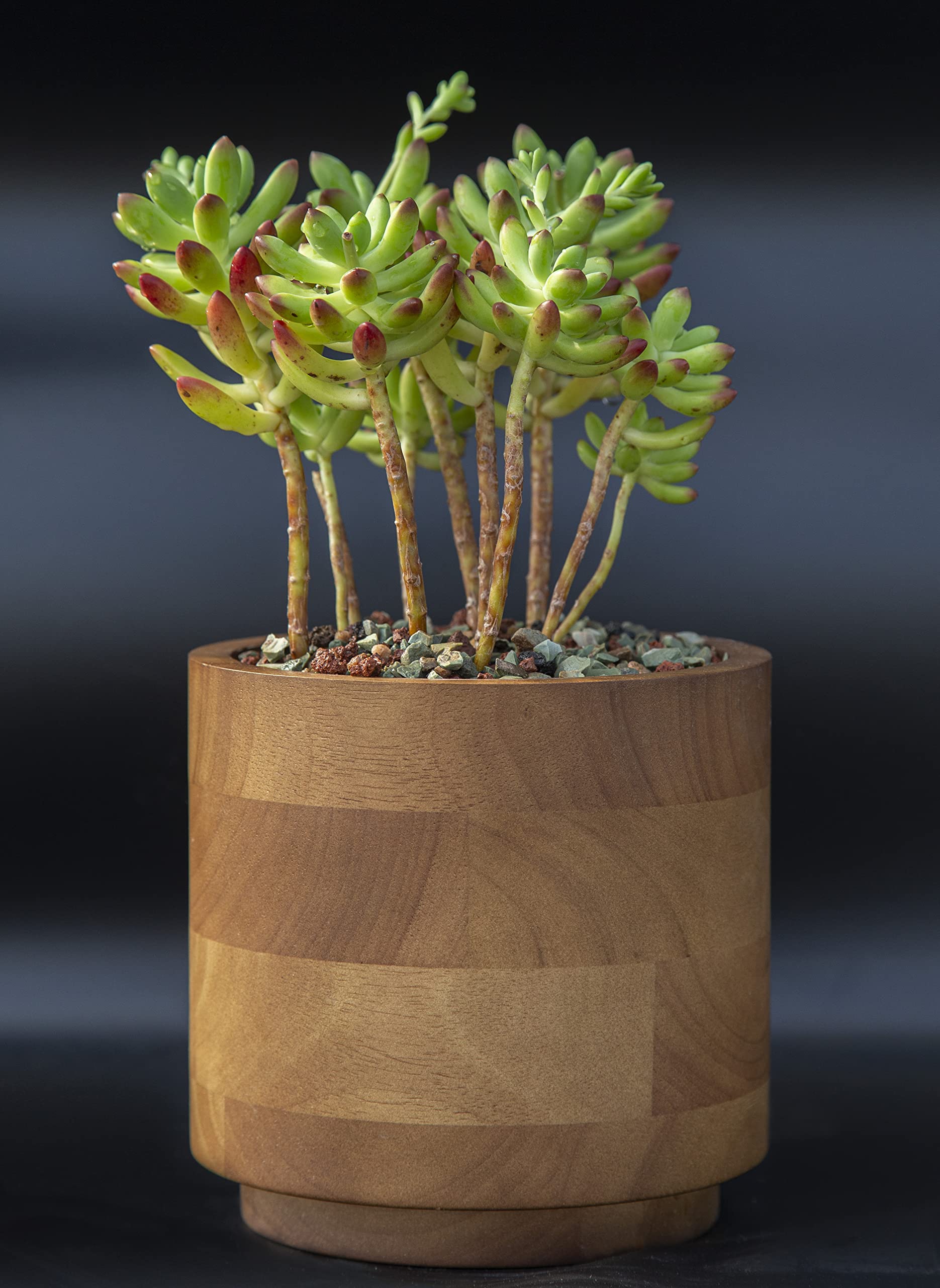 Minimalist Wabi-Sabi 6 Inch Oak Wooden Planter Pot - Handcrafted Decorative Flower Pot for Indoor Plants, Succulents & Home Decor | Perfect for Living Room, Office & Zen Garden Decor