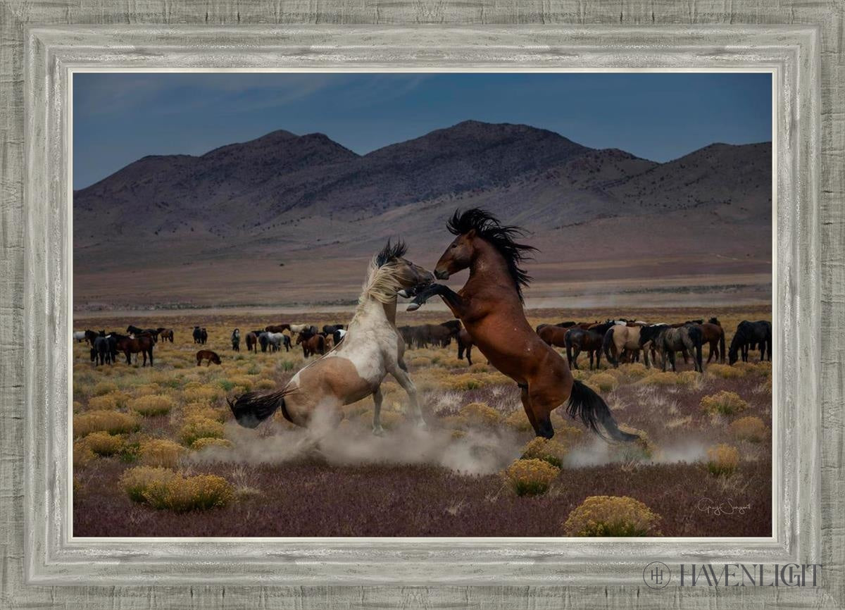 Desert Duel 5 by Greg Sargent - Western Action Novel - Perfect for Book Clubs & Cowboy Adventure Fans