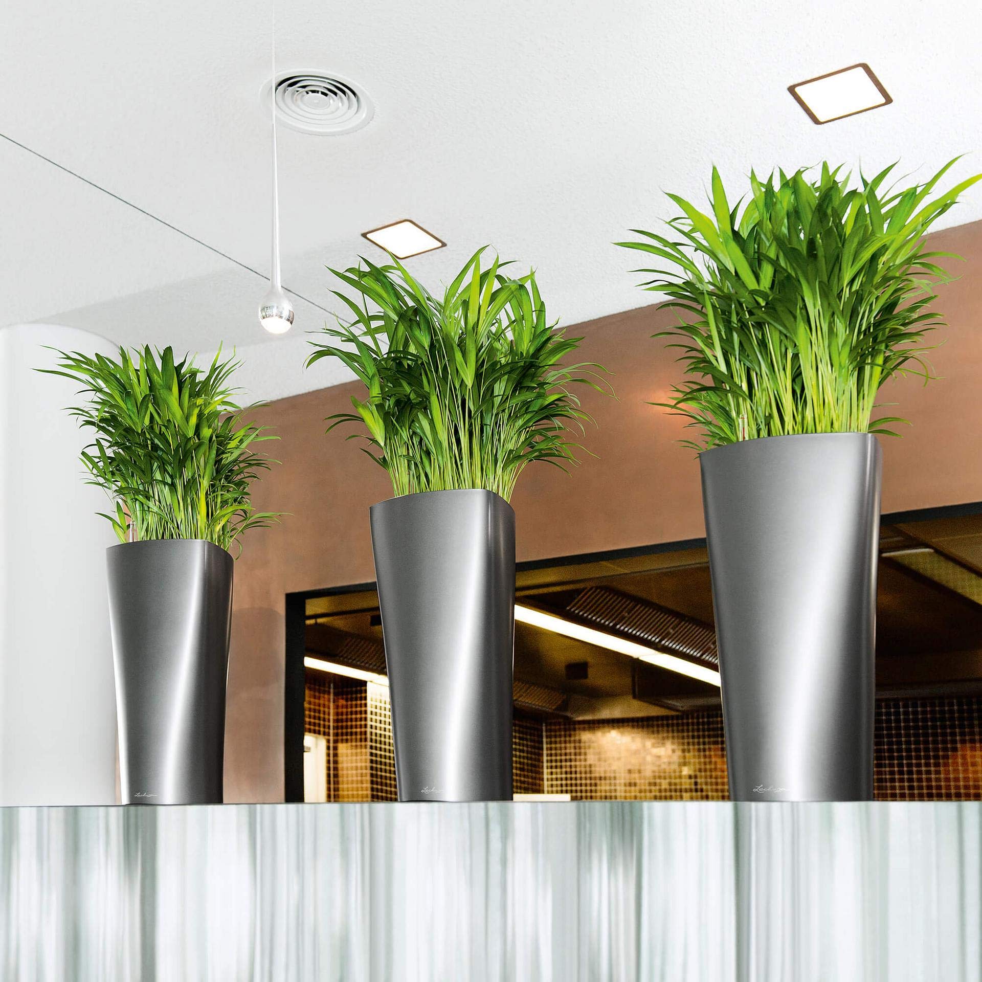 Lechuza Delta 30 Self-Watering Planter - Large Indoor/Outdoor Garden Flower Pot with Drainage Holes & Plant Substrate - 30