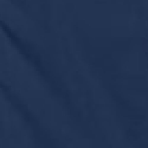 Arctic Navy