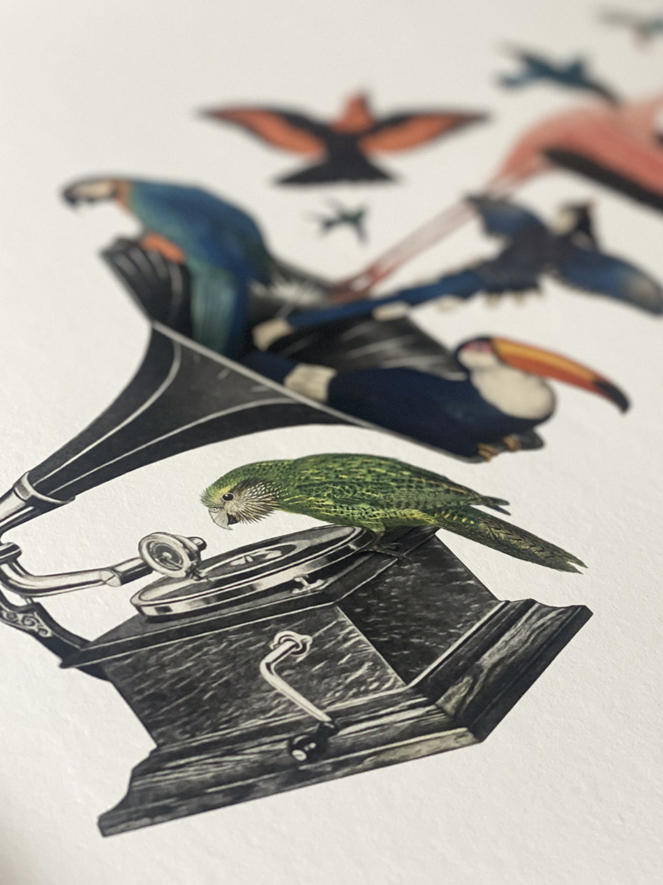 Bird Song II Limited Edition Print - Beautiful Wall Art for Home & Office Decor - Perfect for Living Room, Bedroom, or Gift Giving