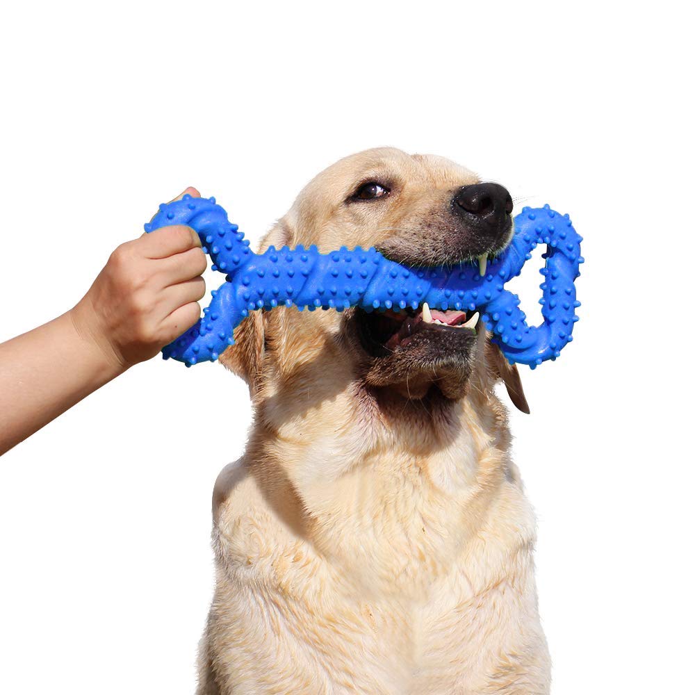 Durable 13-Inch Extra Large Dog Chew Toy - Bone-Shaped Tug Toy with Convex Design for Aggressive Chewers, Medium & Large Dogs - Promotes Dental Health - Perfect for Playtime, Training & Teeth Cleaning