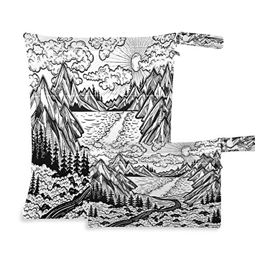 Black And White Pine Forest