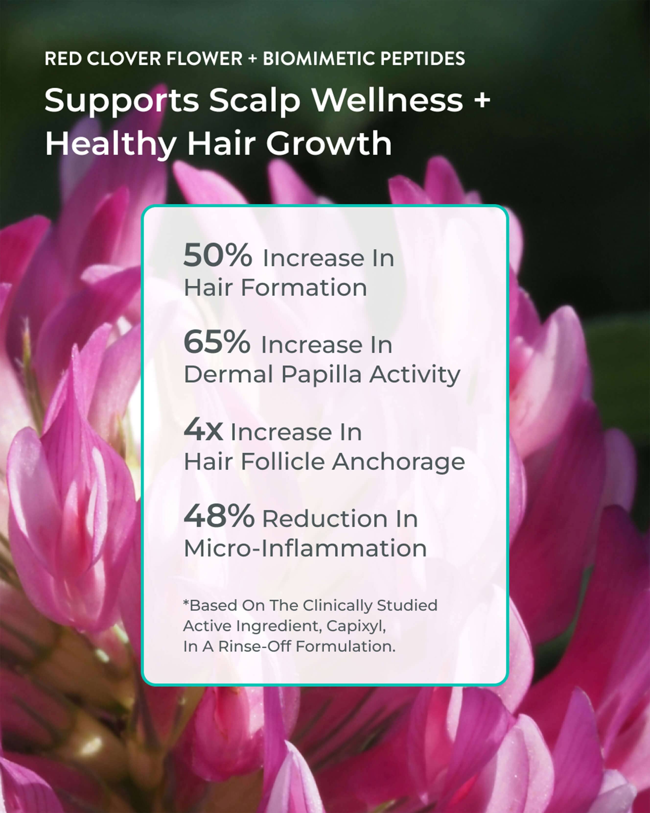 Better Roots Growth Support Shampoo for Hair Growth & Thickness | Natural Hair Care for Men & Women | Daily Use for Stronger, Healthier Hair at Home or Salon