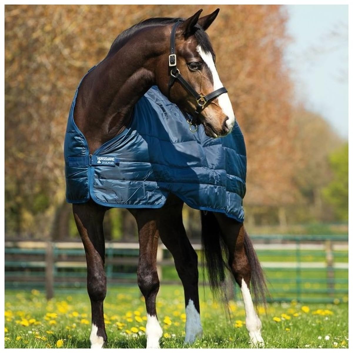 Horseware 300g Blanket Liner - Lightweight Horse Sheet for Cool Weather Riding & Stable Use