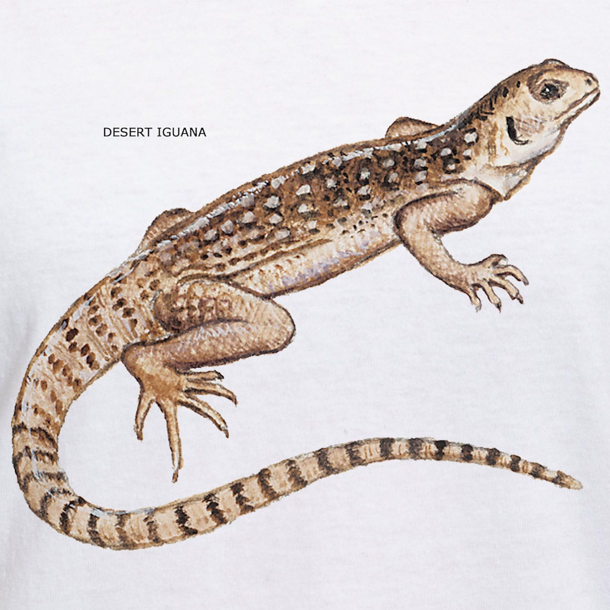 Desert Iguana Women's V-Neck Cotton T-Shirt - Soft & Comfortable Casual Tee for Women - Perfect for Outdoor Adventures, Travel & Everyday Wear