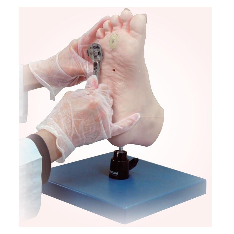 Professional Foot Care Model with Nails & Calluses - Perfect for Podiatry Training, Medical Education & Pedicure Practice