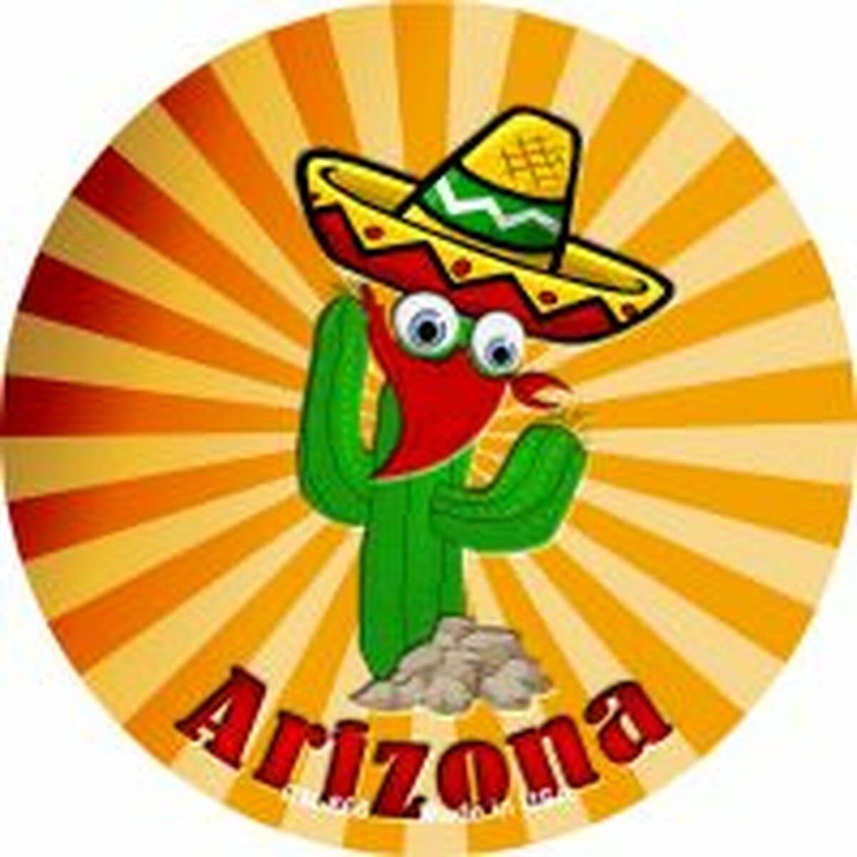 Arizona Cactus Coasters Set of 4 - Absorbent Cork Drink Coasters for Hot & Cold Beverages - Perfect for Home, Office, or Outdoor Use