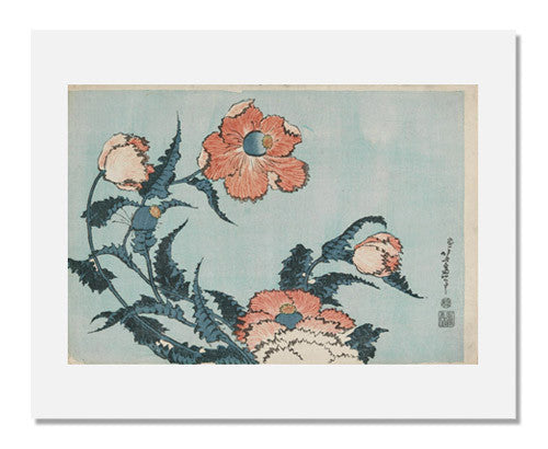 Katsushika Hokusai Poppies Art Print - Japanese Wave Painting Wall Decor for Home & Office - Perfect for Living Room, Bedroom, or Gift