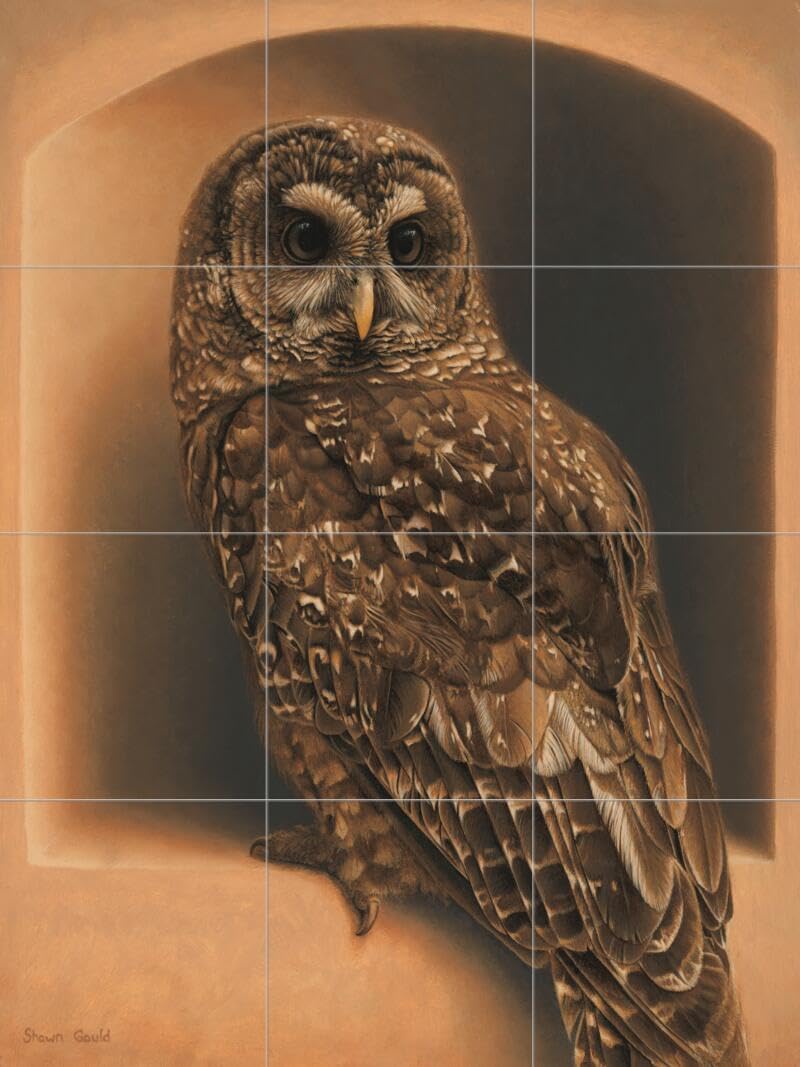 Ceramic Backsplash Tile Mural - Bird of Prey Kitchen & Bathroom Wall Decor - Wisdom Seeker Design by Shawn Gould - Perfect for Modern Home Renovation & DIY Projects